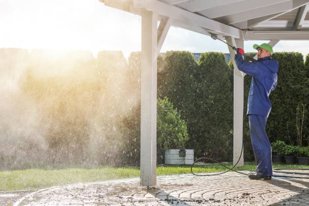 Professional Pressure Washing Services in Rainbow City, AL